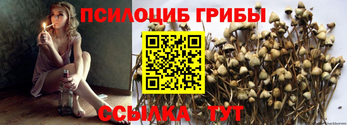 Галлюциногенные грибы MAGIC MUSHROOMS  Псилоцибиновые грибы ЛСД  Вход с VPN  Тайшет 